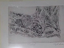 drypoint print from my Biologique series
