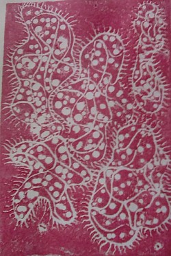 Linocut from Biologique series
